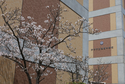 IMG_7252