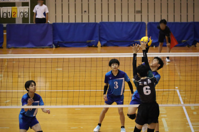 8afb9a14-9727-40d5-809e-c2e39a963ff6